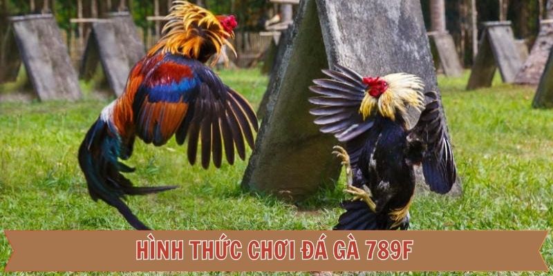 Những loại hình được ưa chuộng ở sảnh game